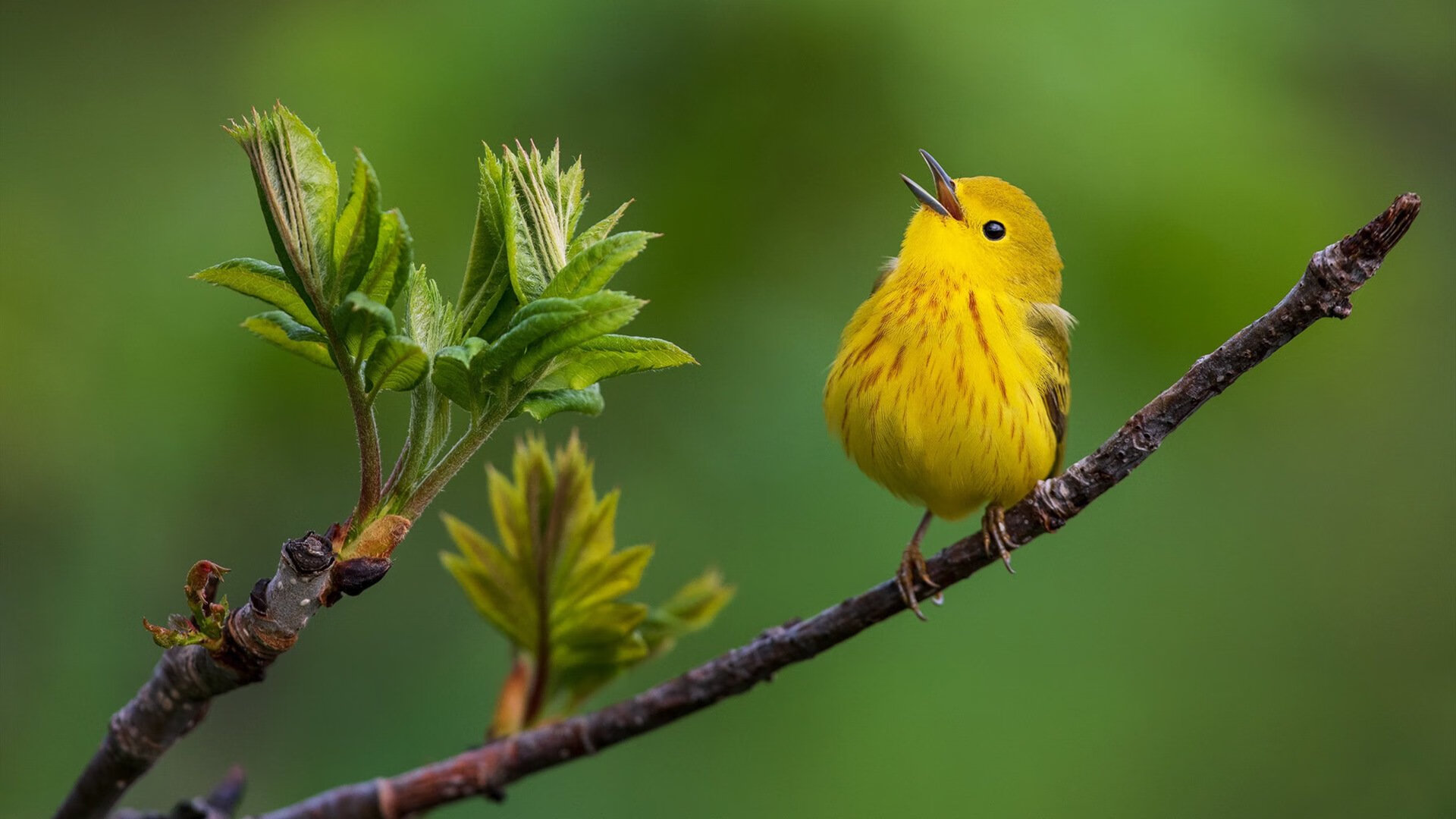 中国足球职业俱乐部球员转会政策调整，那年起中国足协对运动员的转会又有了新的规定
