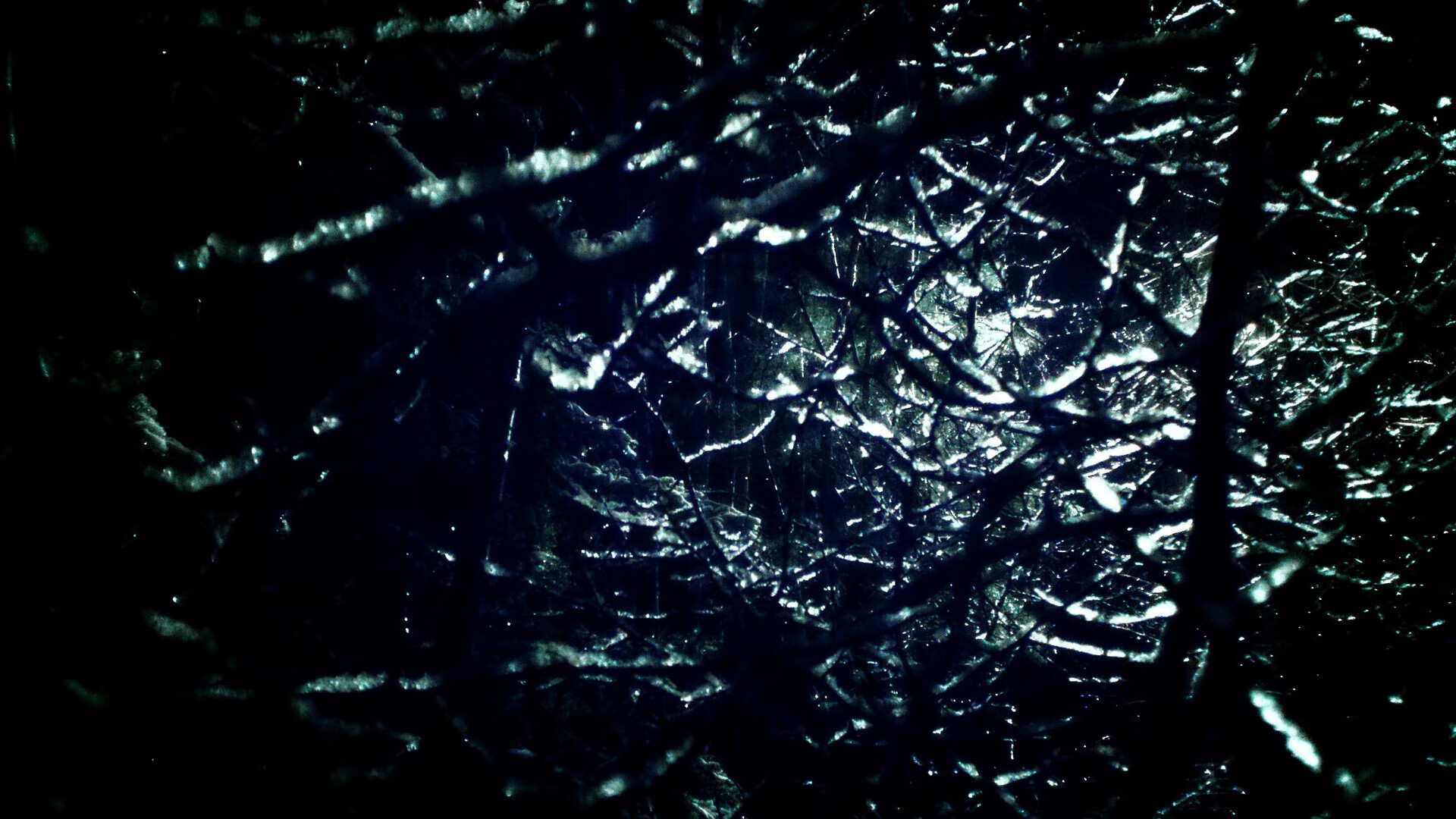 kaiyun官方网站-马尔尚突破自我刷新纪录，马尔尚兄弟酒庄